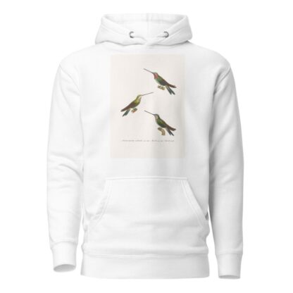 Oiseau Mouche Médiastin by Coenraad Jacob Temminck Hoodie