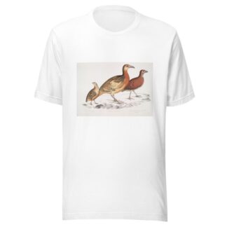 1. Ferrugineous Cryptonyx, Cryptonyx ferrugineus; 2. Long Billed Francolin, Francolinus longinostris by John Edward Gray T-Shirt