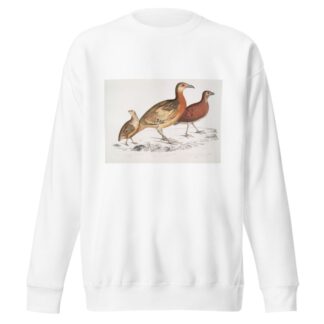 1. Ferrugineous Cryptonyx, Cryptonyx ferrugineus; 2. Long Billed Francolin, Francolinus longinostris by John Edward Gray Sweatshirt