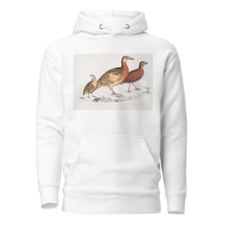 1. Ferrugineous Cryptonyx, Cryptonyx ferrugineus; 2. Long Billed Francolin, Francolinus longinostris by John Edward Gray Hoodie