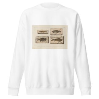 Recherches sur les poissons fossiles Pl.360 by Louis Agassiz Sweatshirt