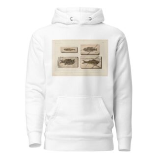 Recherches sur les poissons fossiles Pl.360 by Louis Agassiz Hoodie