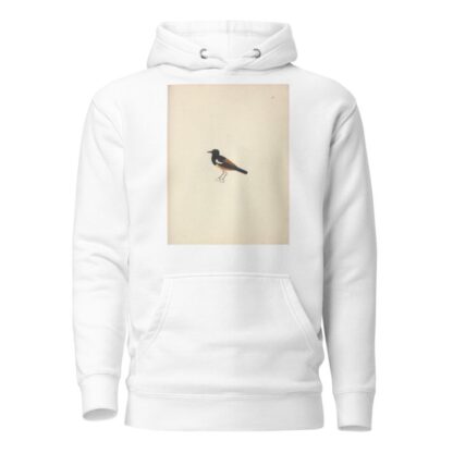 Thamnolaea semirufa by Luigi Balugani Hoodie