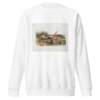 Mus missouriensis, Missouri Mouse. Natural size. by John Woodhouse Audubon Sweatshirt