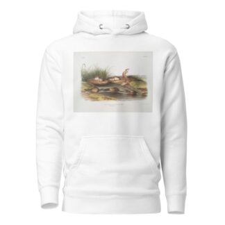 Mus missouriensis, Missouri Mouse. Natural size. by John Woodhouse Audubon Hoodie