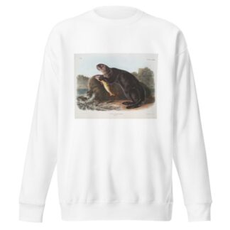 Enhydra marina, Sea Otter. Young male. by John Woodhouse Audubon Sweatshirt