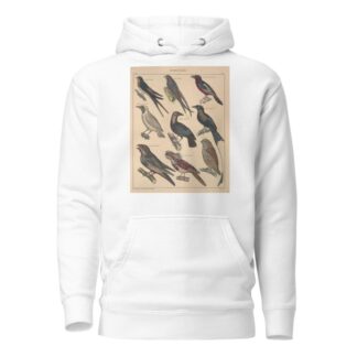 Abbildungen zu Oken’s Allgemeiner Naturgeschichte für alle Stände Pl.120 by Lorenz Oken Hoodie