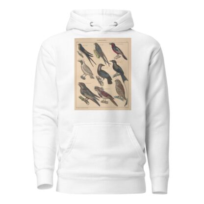 Abbildungen zu Oken’s Allgemeiner Naturgeschichte für alle Stände Pl.120 by Lorenz Oken Hoodie