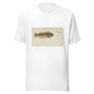 Blenniidae by Frank Edward Clarke T-Shirt