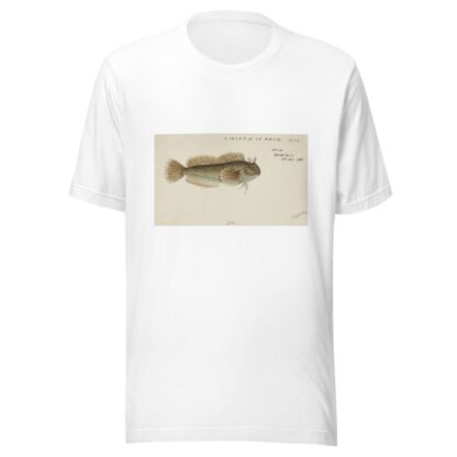 Blenniidae by Frank Edward Clarke T-Shirt