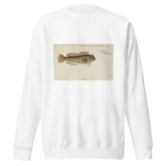 Blenniidae by Frank Edward Clarke Sweatshirt