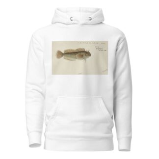 Blenniidae by Frank Edward Clarke Hoodie