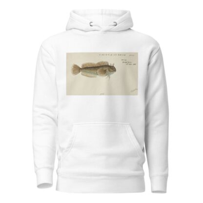 Blenniidae by Frank Edward Clarke Hoodie
