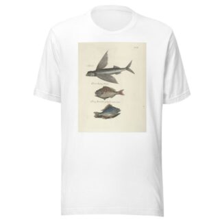 Piscium, serpentum, insectorum, aliorumque nonnullorum animalum nec non plantarum quarundam imagines Pl.008 by Mark Catesby T-Shirt