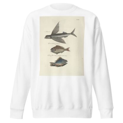 Piscium, serpentum, insectorum, aliorumque nonnullorum animalum nec non plantarum quarundam imagines Pl.008 by Mark Catesby Sweatshirt