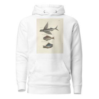 Piscium, serpentum, insectorum, aliorumque nonnullorum animalum nec non plantarum quarundam imagines Pl.008 by Mark Catesby Hoodie