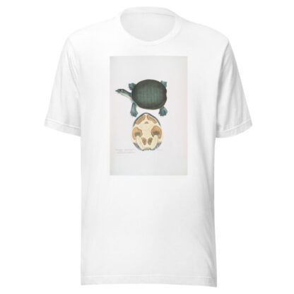 Valvular Trionyx, Emyda punctata, by John Edward Gray T-Shirt