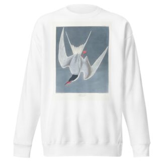 Sterna hirundo by John James Audubon Sweatshirt