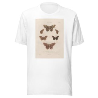 Insectes recueillis en Afrique et en Amérique Pl.77 by Jean Gabriel Prêtre T-Shirt