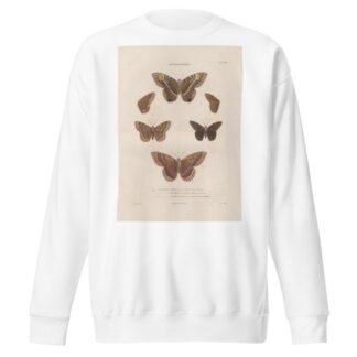 Insectes recueillis en Afrique et en Amérique Pl.77 by Jean Gabriel Prêtre Sweatshirt