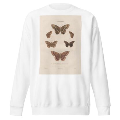Insectes recueillis en Afrique et en Amérique Pl.77 by Jean Gabriel Prêtre Sweatshirt