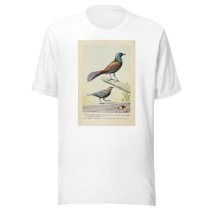 Creaker the Purple Grackle, and the Male Cowbird by Louis Agassiz Fuertes T-Shirt