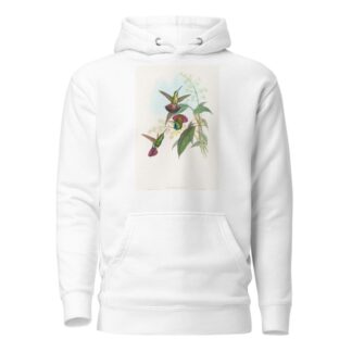 Lampornis prevosti by John Gould Hoodie