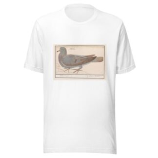 Houtduif by Anselmus Boëtius de Boodt T-Shirt