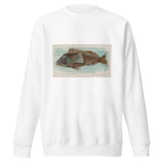 Sea Bass by Allen & Ginter Sweatshirt