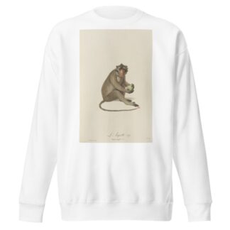L’Aigrette by Jean-Baptiste Audebert Sweatshirt