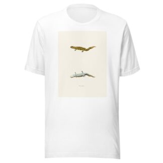 Triton tigrinus by John Edwards Holbrook T-Shirt