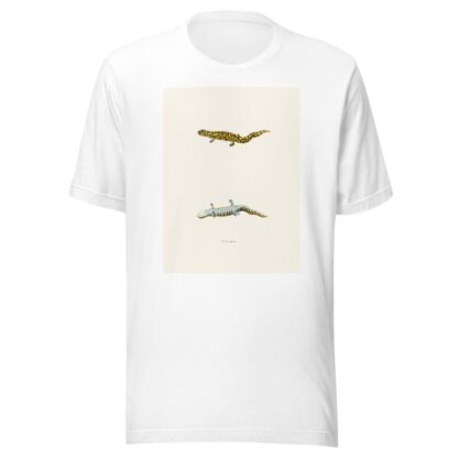 Triton tigrinus by John Edwards Holbrook T-Shirt
