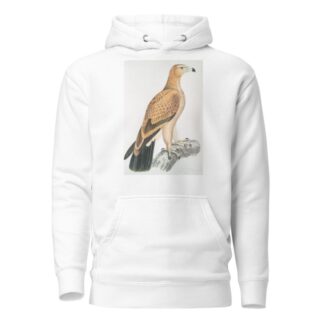 Tawny Eagle, Aquilla fulvescens. by John Edward Gray Hoodie