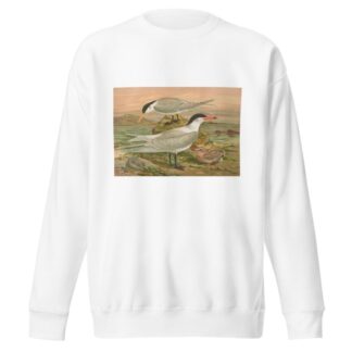 Sterna media Horsf, Sterna tschegrava Lepech by Johann Friedrich Naumann Sweatshirt