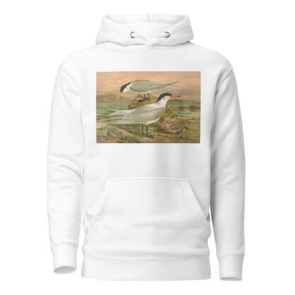 Sterna media Horsf, Sterna tschegrava Lepech by Johann Friedrich Naumann Hoodie