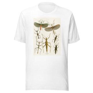 The cabinet of oriental entomology Pl XXXIX by John Obadiah Westwood T-Shirt