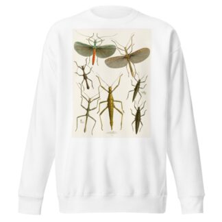 The cabinet of oriental entomology Pl XXXIX by John Obadiah Westwood Sweatshirt