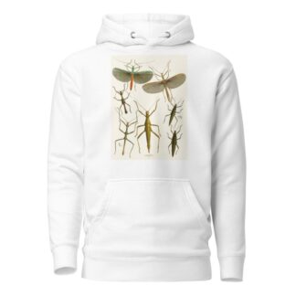 The cabinet of oriental entomology Pl XXXIX by John Obadiah Westwood Hoodie