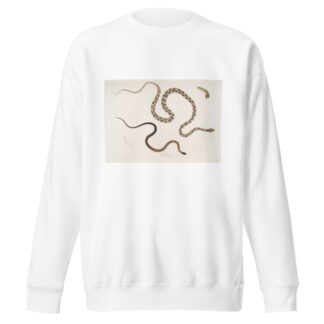 1. Gocool Dipsas. Dipsus [Dipsas] Gocool; 2. Black Headed Lycodon, Lycodon melanocephalus. by John Edward Gray Sweatshirt