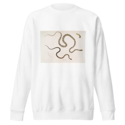 1. Gocool Dipsas. Dipsus [Dipsas] Gocool; 2. Black Headed Lycodon, Lycodon melanocephalus. by John Edward Gray Sweatshirt