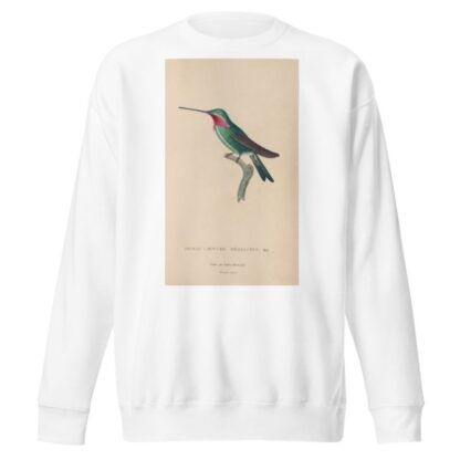Histoire naturelle des oiseaux-mouches Pl.29 by René-Primevère Lesson Sweatshirt