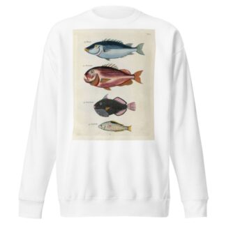 Poissons, ecrevisses et crabes, de diverses couleurs et figures extraordinaires.. Pl.017 by Louis Renard Sweatshirt