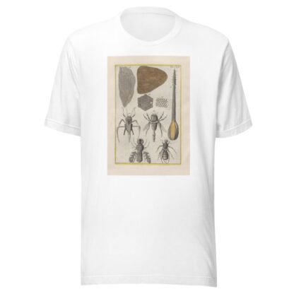 Rerum naturalium historia nempe quadrupedum Pl.24 by Filippo Buonanni T-Shirt