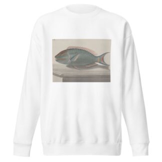 Natural history of Saint Domingue Pl.075 by René de Rabié Sweatshirt