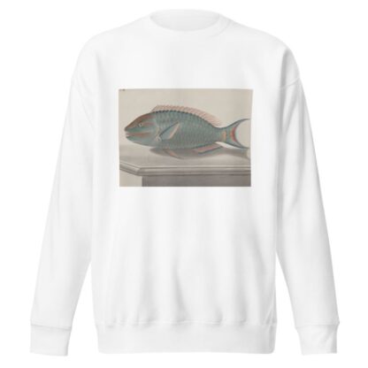 Natural history of Saint Domingue Pl.075 by René de Rabié Sweatshirt