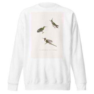 Oiseau-Mouche Lalande by Coenraad Jacob Temminck Sweatshirt