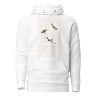 Oiseau-Mouche Lalande by Coenraad Jacob Temminck Hoodie
