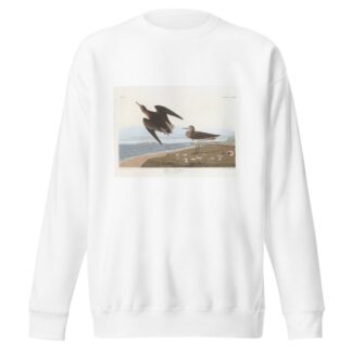 Schinz’s sandpiper by John James Audubon Sweatshirt