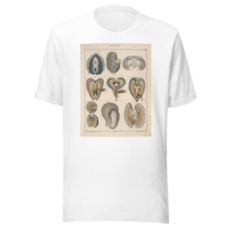 Abbildungen zu Oken’s Allgemeiner Naturgeschichte für alle Stände Pl.067 by Lorenz Oken T-Shirt
