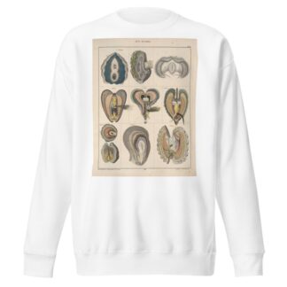 Abbildungen zu Oken’s Allgemeiner Naturgeschichte für alle Stände Pl.067 by Lorenz Oken Sweatshirt
